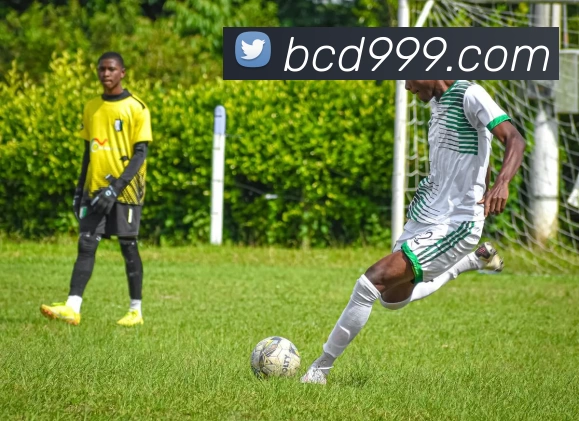 bc贷官网APP 封面图