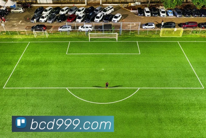 数据防护可视化